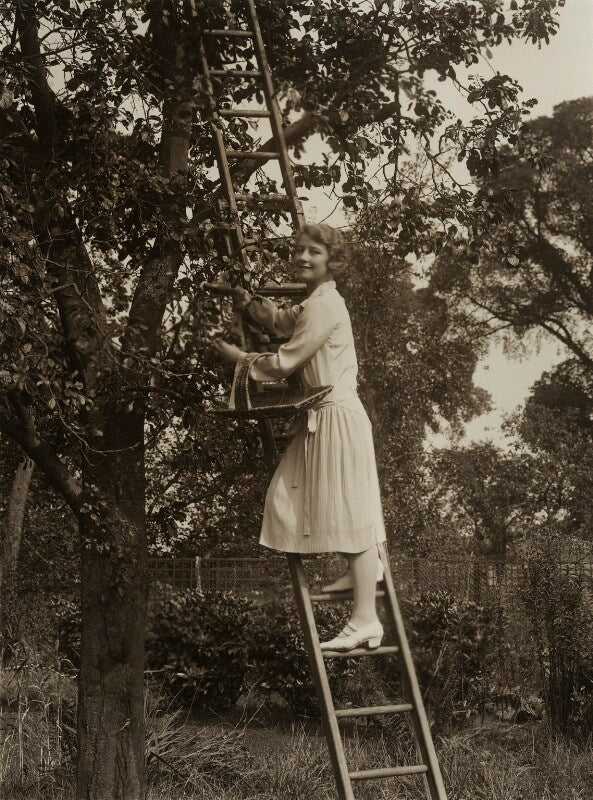 Ivy tresmand npg x83506