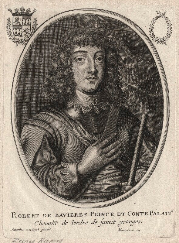 Prince rupert, count palatine npg d18154