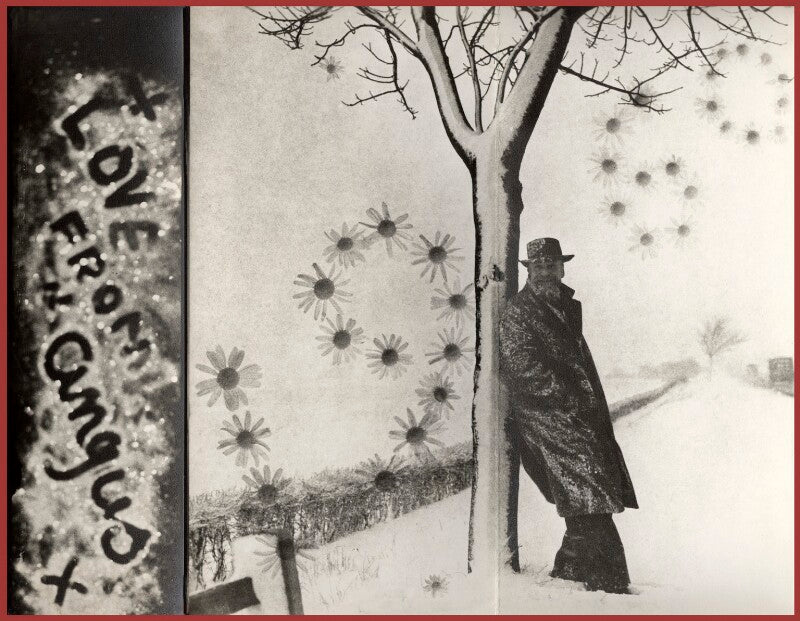 Angus mcbean npg x39317