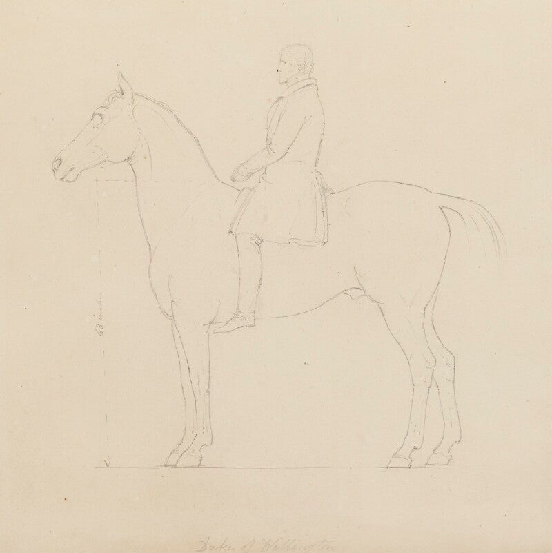 Arthur wellesley, 1st duke of wellington npg 316a(132)