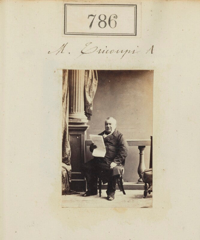 Spiridon trikoupis (tricoupis) npg ax50395