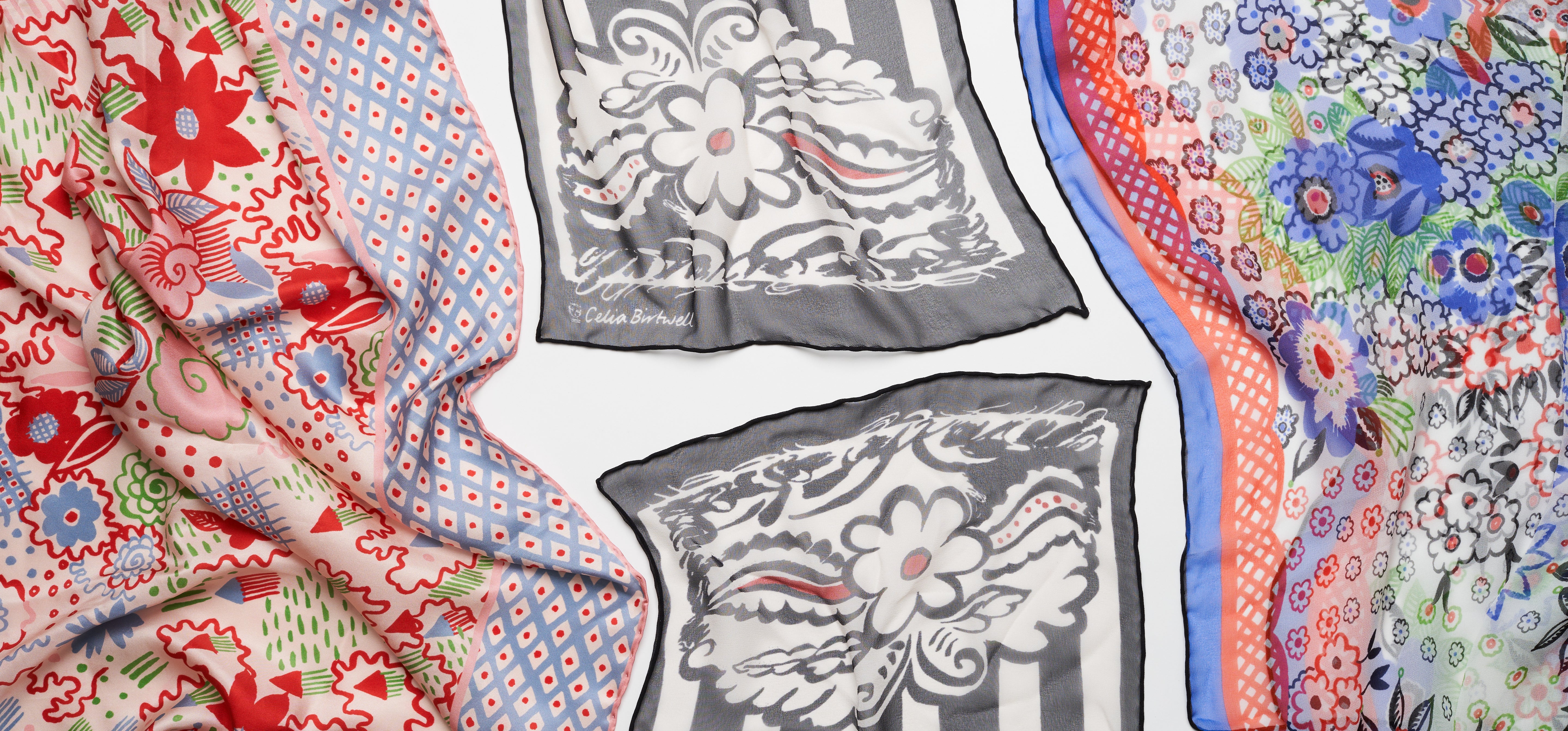 Npg & celia birtwell