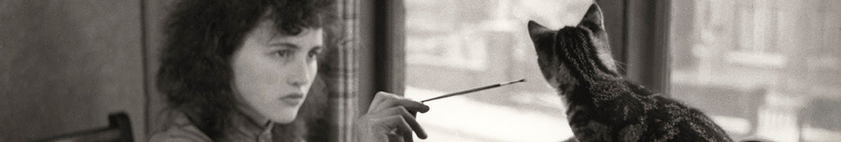 Wall art edit   animals in portraits