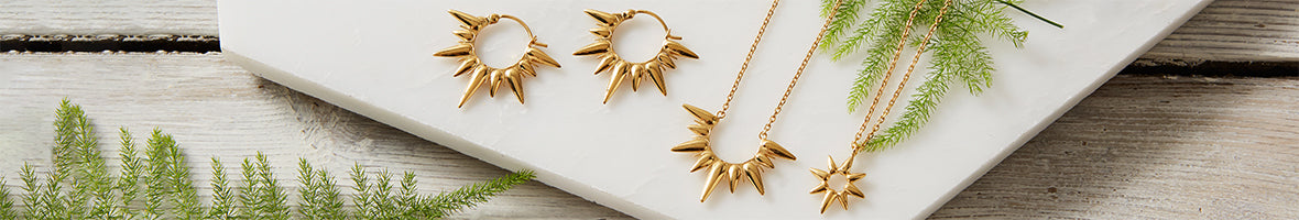 Dinny hall & the national portrait gallery