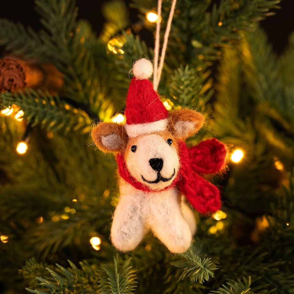 Cd20102_corgi_1024x1024_ef96cbf7 dec1 4355 bce3 a5bd89e887e0