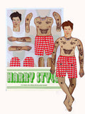 Pop Idol Harry Paper Puppet Kit