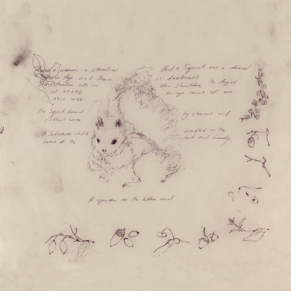 Birdandsquirrel squirrel_18cd34b4 4849 4028 8fd3 3ac5dfb63587