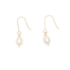 Pair of pearl earrings with gold hooks on a white background