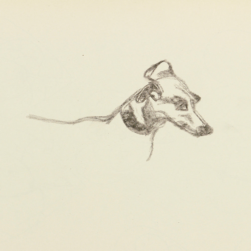 Pluto sketch lucian freud bella