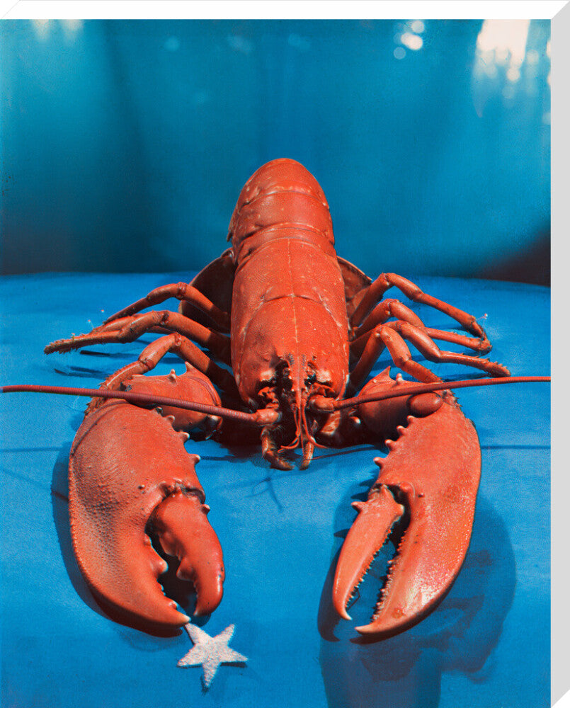 Si 1051543_ihcm 100_maxdim 1000_style 3_fdcm 5