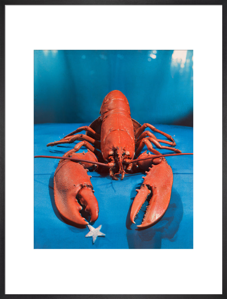 Si 1051543_ihcm 68.81_iwcm 55.00_fls 880229l.tif_fts 880229t.tif_mc ffffff_fwcm 1.60_tmwcm 15.59_bmwcm 15.59_lmwcm 10.00_rmwcm 10.00_maxdim 1000_en_external___iar 1