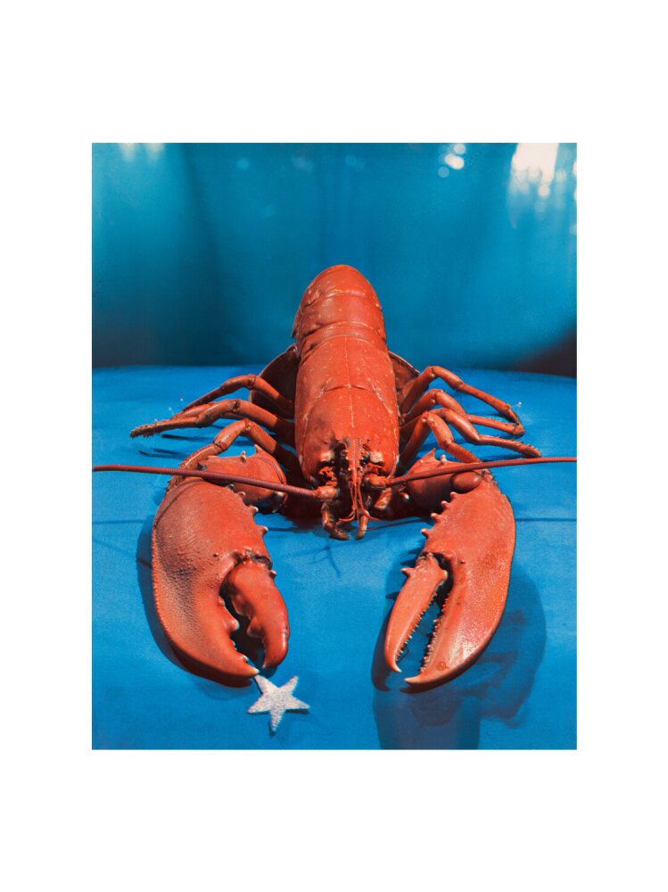 Si 1051543_widthcm 75_heightcm 100_croppedwidthcm 55_croppedheightcm 68.8111111111111_maxdim 1000