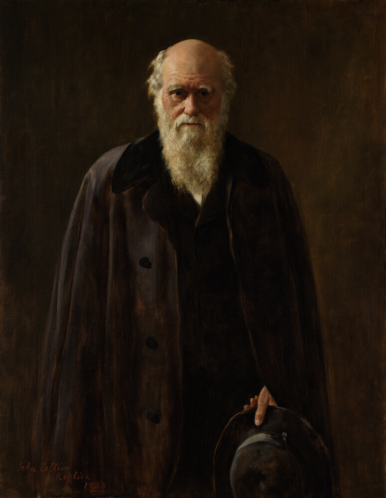 Charles darwin portrait print