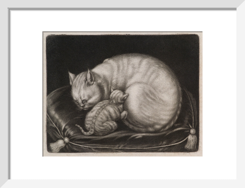 Si 1051686_ihcm 22.00_iwcm 28.13_fls 880231l.tif_fts 880231t.tif_mc ffffff_fwcm 1.50_tmwcm 4.00_bmwcm 4.00_lmwcm 5.94_rmwcm 5.94_maxdim 1000_en_external___iar 1