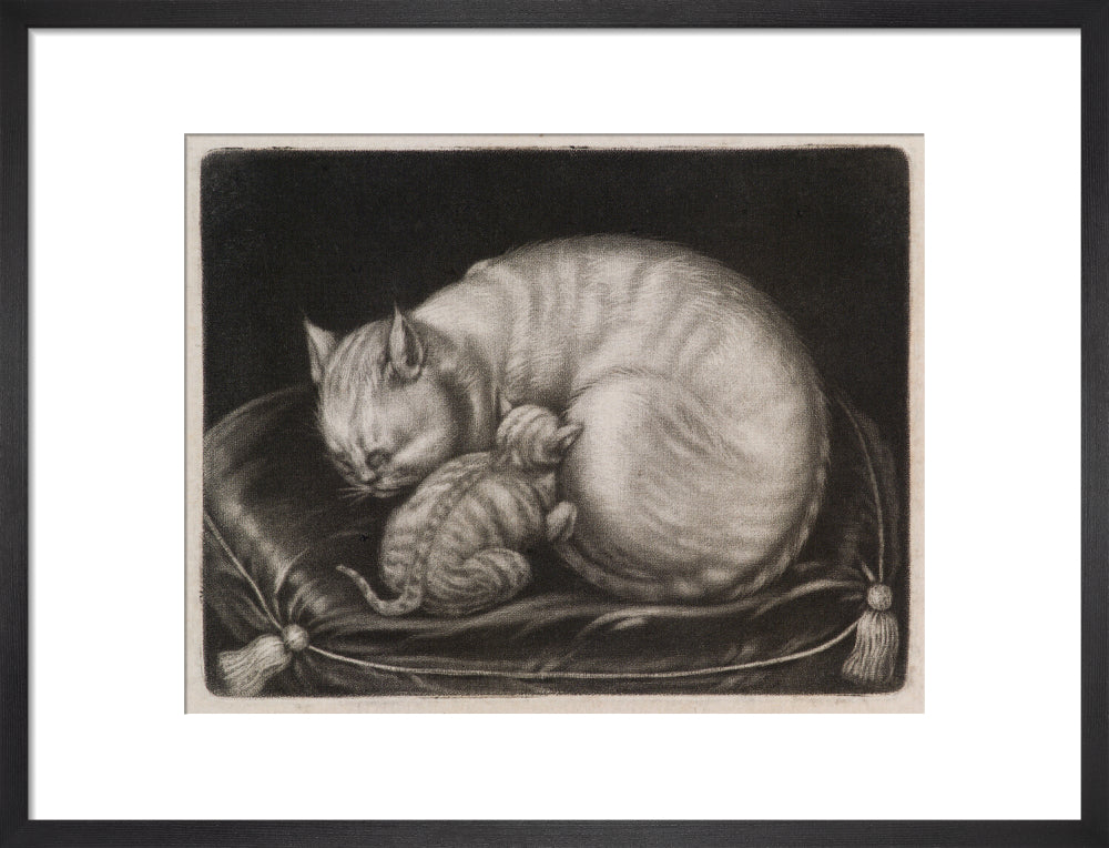 Si 1051686_ihcm 33.00_iwcm 42.19_fls 880229l.tif_fts 880229t.tif_mc ffffff_fwcm 1.60_tmwcm 6.00_bmwcm 6.00_lmwcm 8.90_rmwcm 8.90_maxdim 1000_en_external___iar 1