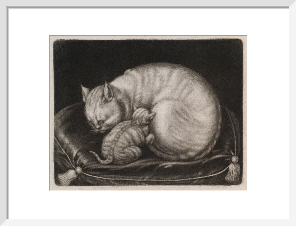 Si 1051686_ihcm 33.00_iwcm 42.19_fls 880231l.tif_fts 880231t.tif_mc ffffff_fwcm 1.50_tmwcm 6.00_bmwcm 6.00_lmwcm 8.90_rmwcm 8.90_maxdim 1000_en_external___iar 1