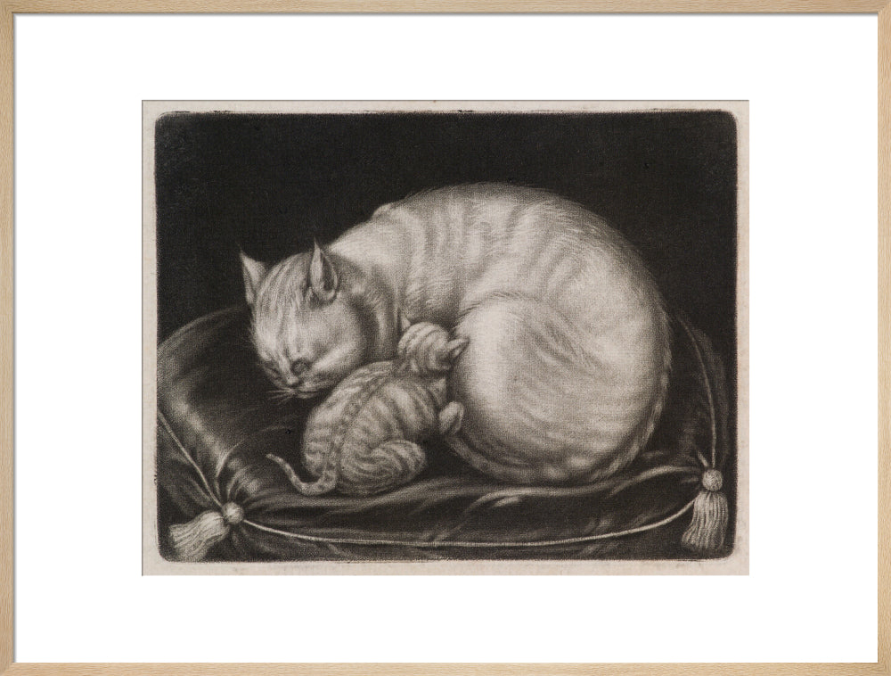 Si 1051686_ihcm 55.00_iwcm 70.32_fls 880600l.tif_fts 880600t.tif_mc ffffff_fwcm 1.50_tmwcm 10.00_bmwcm 10.00_lmwcm 14.84_rmwcm 14.84_maxdim 1000_en_external___iar 1