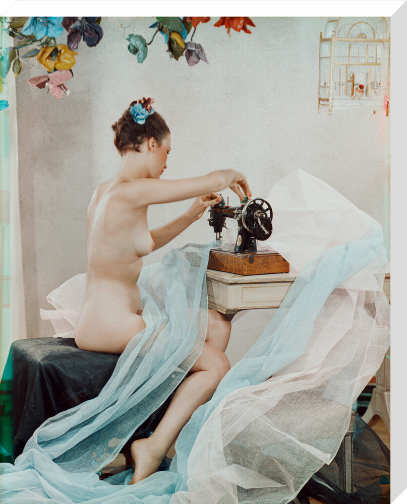 Si 1051838_ihcm 80_maxdim 1000_style 3_fdcm 5