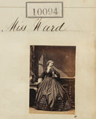 Miss Ward NPG Ax59808