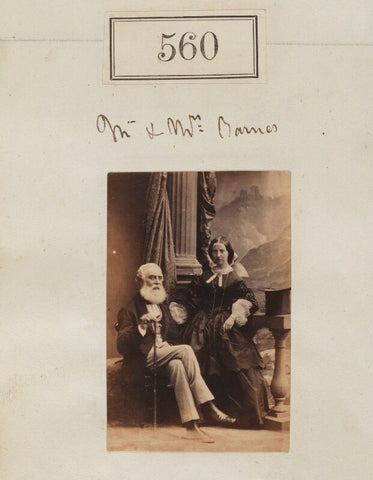 Mr Barnes; Mrs Barnes NPG Ax50253