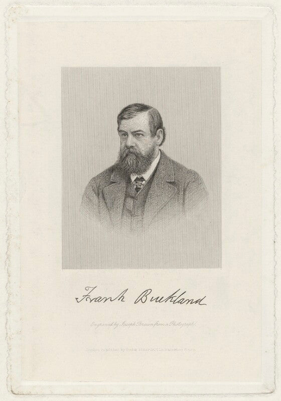 Frank Buckland Portrait Print – National Portrait Gallery Shop