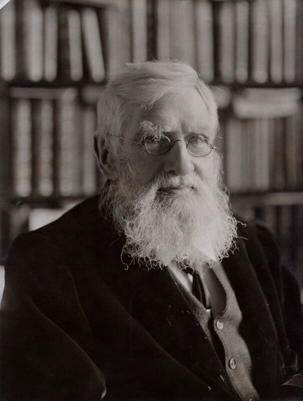 Alfred russel wallace npg x5124