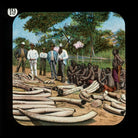 Ivory and Carriers (relates to David Livingstone) NPG D18392