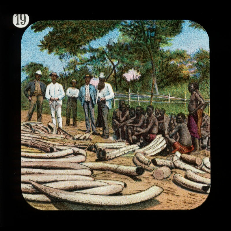 Ivory and carriers (relates to david livingstone) npg d18392