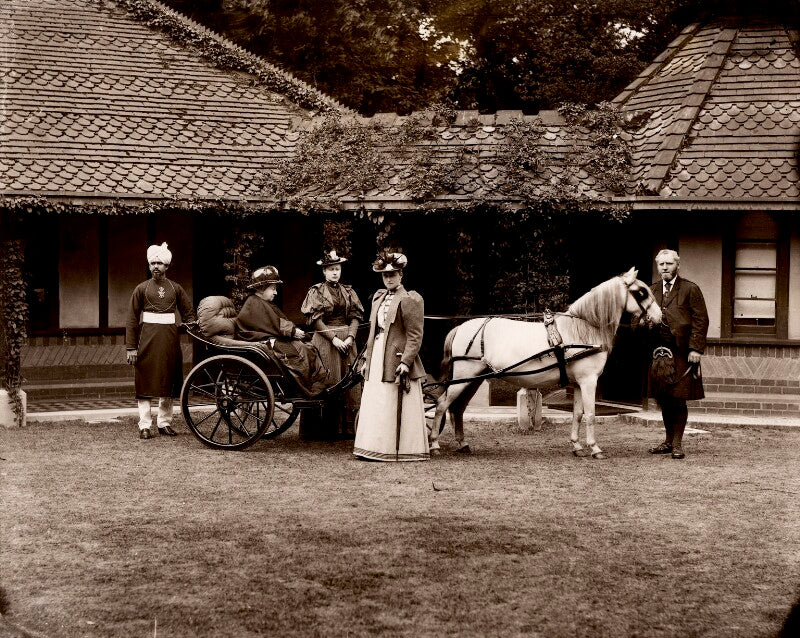 Group with queen victoria npg x35285