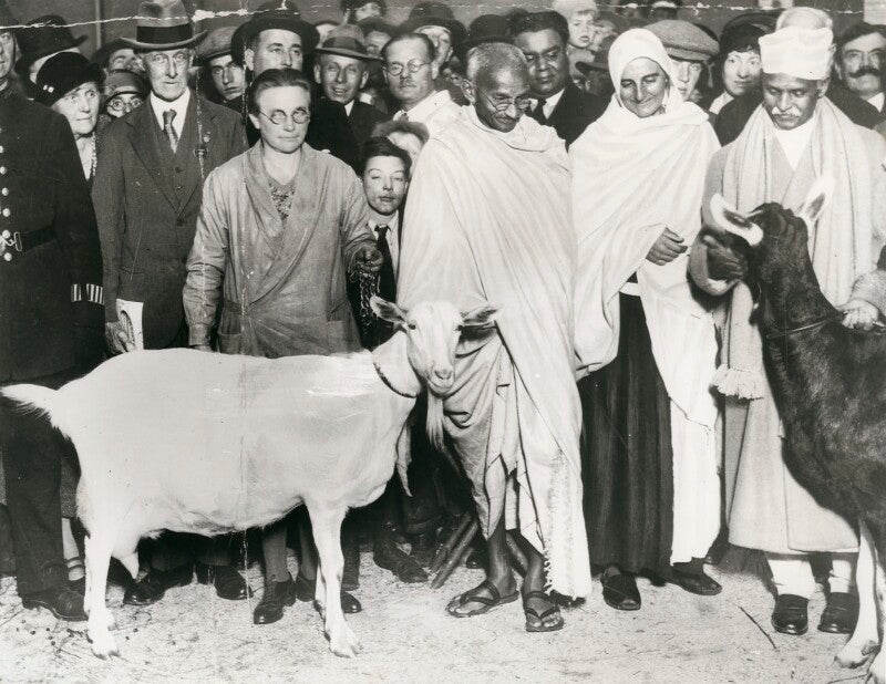 Mahatma gandhi npg x137613