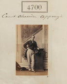 Count Alexander Apponyi NPG Ax54712