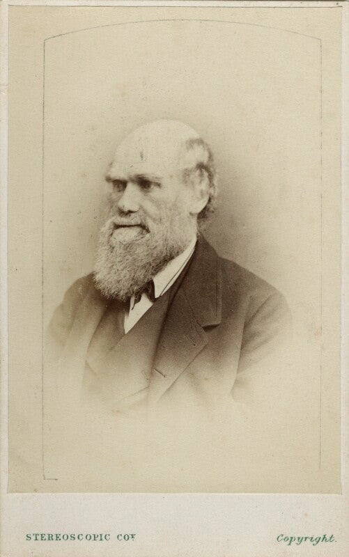 Charles darwin npg ax17797