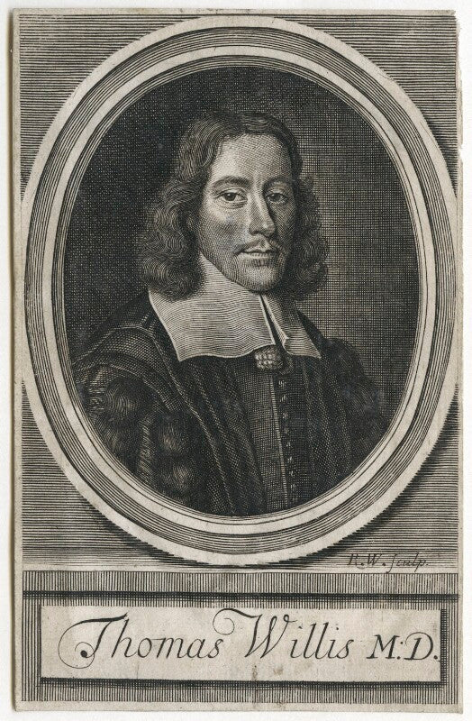 Thomas willis npg d42860