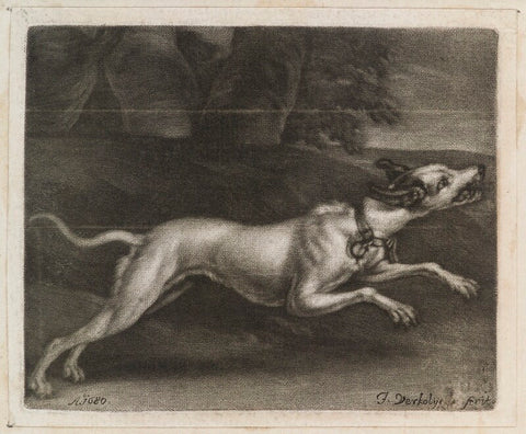 A Greyhound NPG D11836