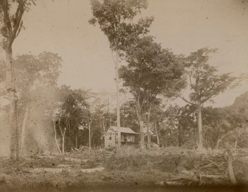 Robert louis stevenson npg x4629