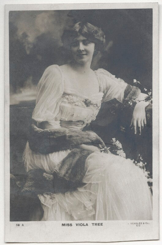 Viola tree npg ax45911