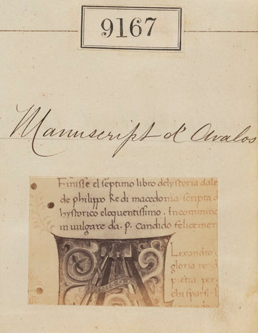 'Detail from Manuscript d'Avalos' NPG Ax58989