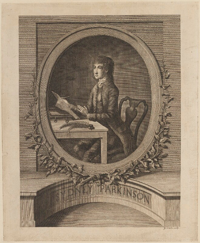 Sydney parkinson npg d14186