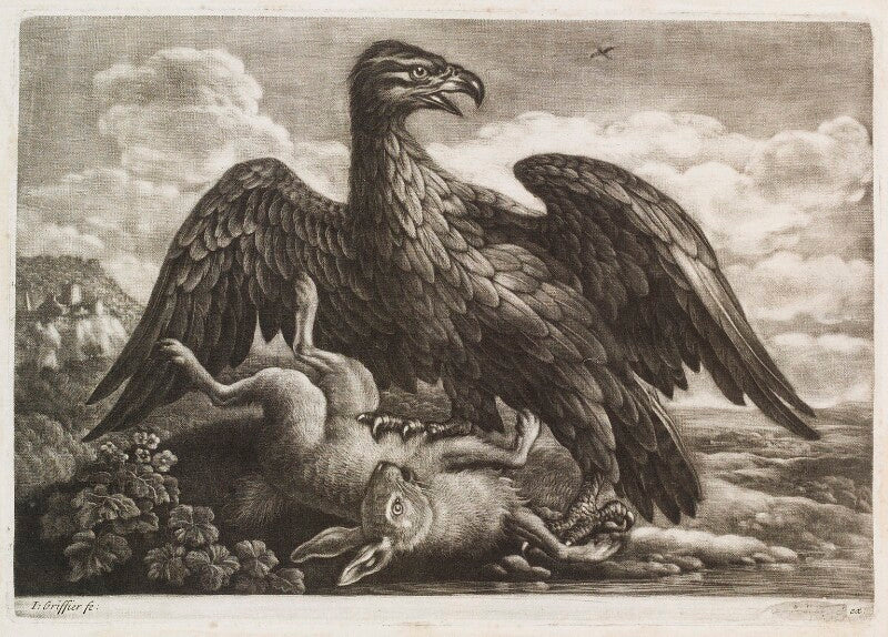 An eagle and a hare in a landscape npg d11795