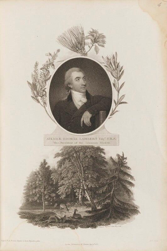 Aylmer bourke lambert npg d34335