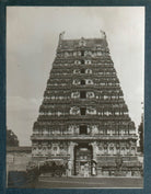Temple of Vellore (Lady Ottoline Morrell and three others) NPG Ax143708