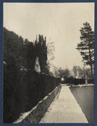 'Garsington' NPG Ax141519