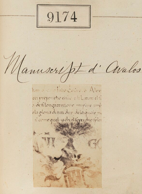 'detail from manuscript d'avalos' npg ax58996
