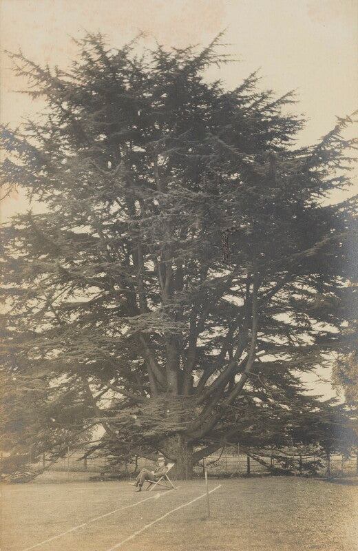 '(lloyd) logan pearsall smith writing underneath the cedar of lebanon' npg ax160747