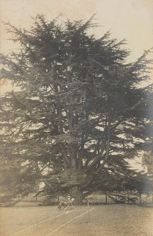 '(Lloyd) Logan Pearsall Smith writing underneath the cedar of Lebanon' NPG Ax160747