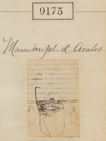 'Detail from Manuscript d'Avalos' NPG Ax58997