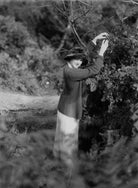 Dame Gladys Cooper NPG x18795