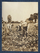 Clive Bell; Gerald Frank Shove and farm workers NPG Ax140515