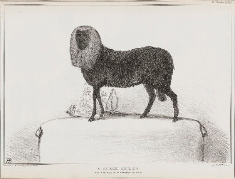 Henry brougham, 1st baron brougham and vaux ('a black sheep. not exhibited in the zoological gardens') npg d41221