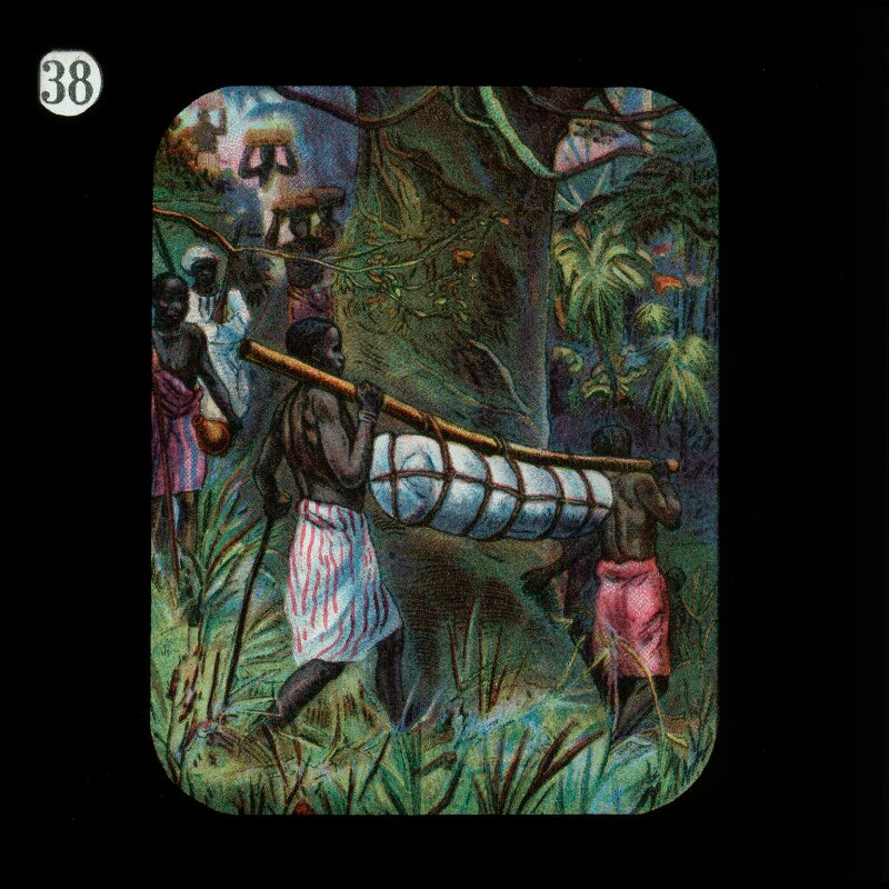 Carrying the body to the coast (relates to david livingstone) npg d18411